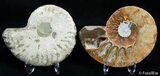 Beautiful Inch Split Ammonite Pair #2384-1